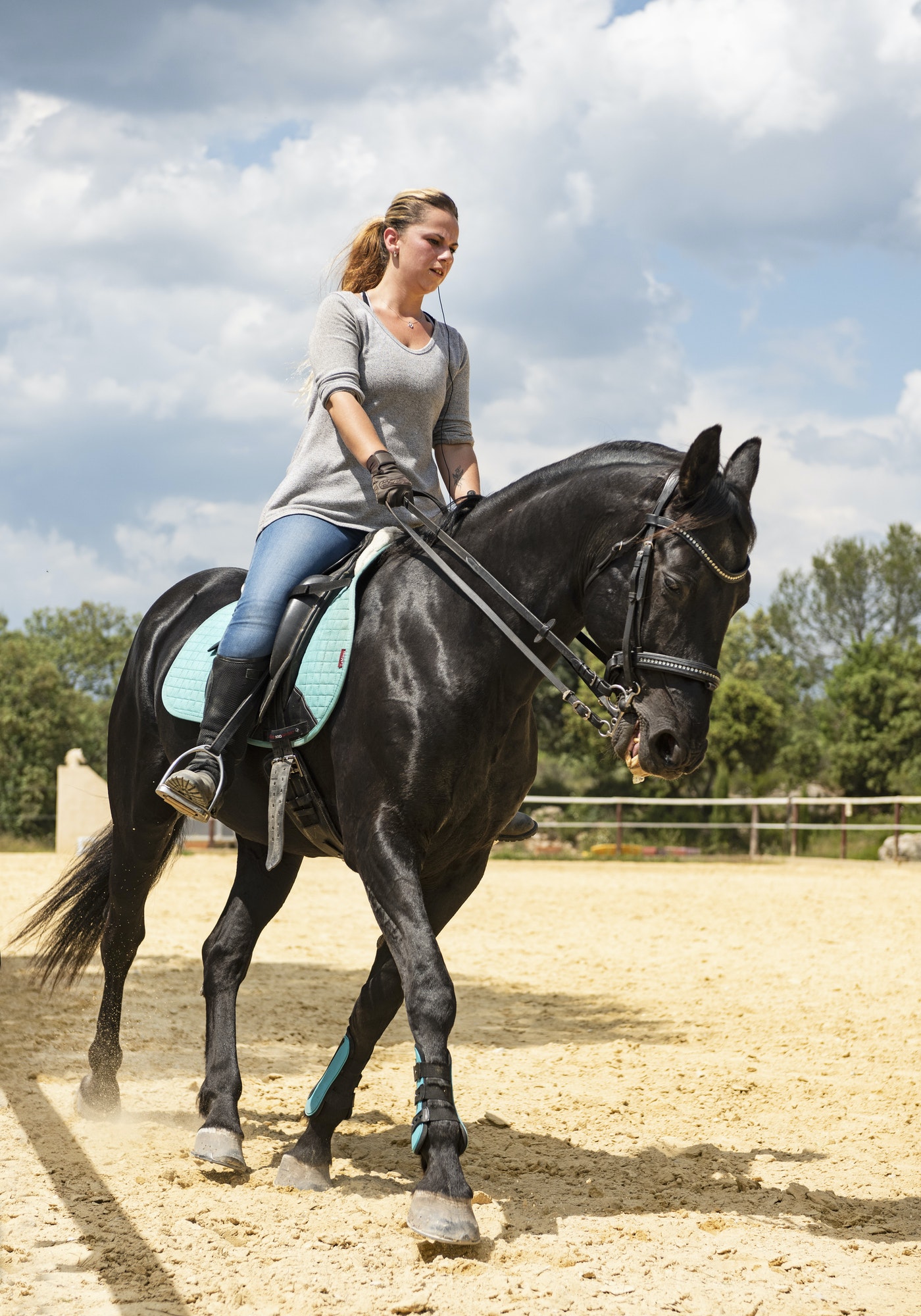 woman rider and horse