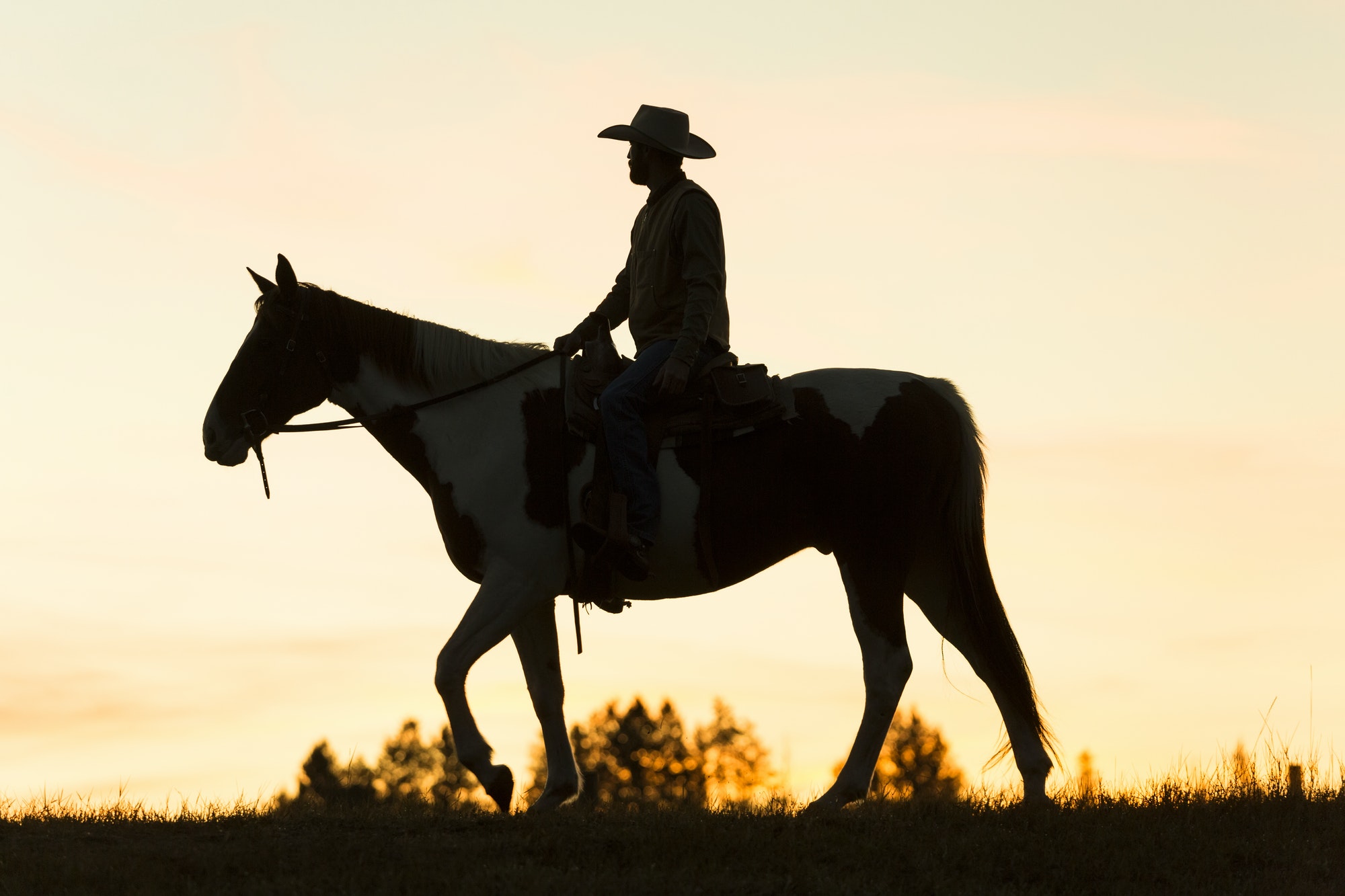 Cowboy riding on horseback in a Prairie landscape at sunset.