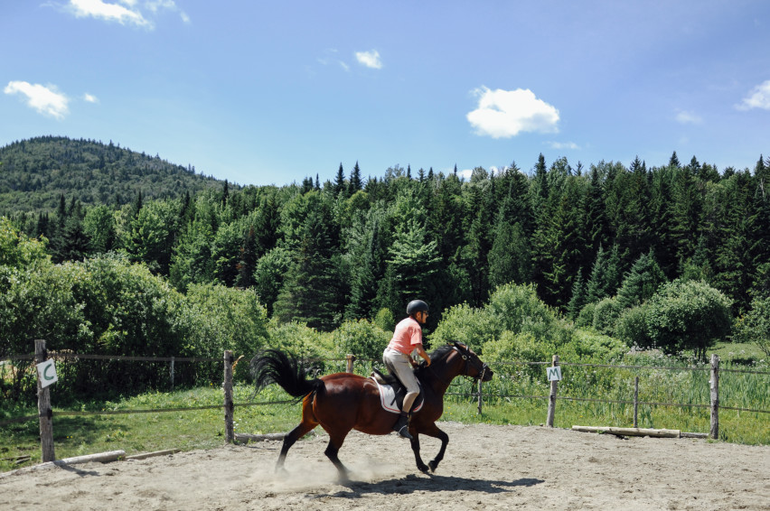 Horse training race