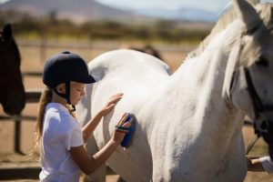 Girl grooming the horse in the ranch