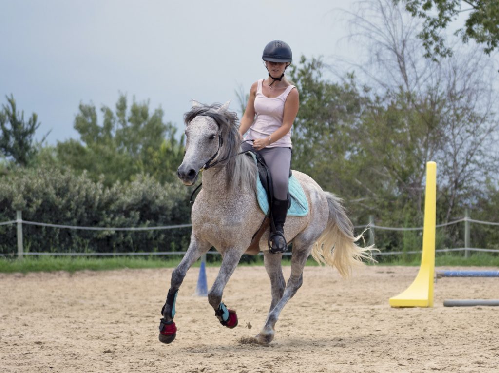 riding girl and horse